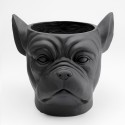 Portavaso testa bulldog nero | h 37.5