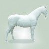 963 128GBIANCO_a Cavallo c/criniera L256H210 bianc