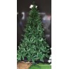 Albero Natale Garmish h210pvc